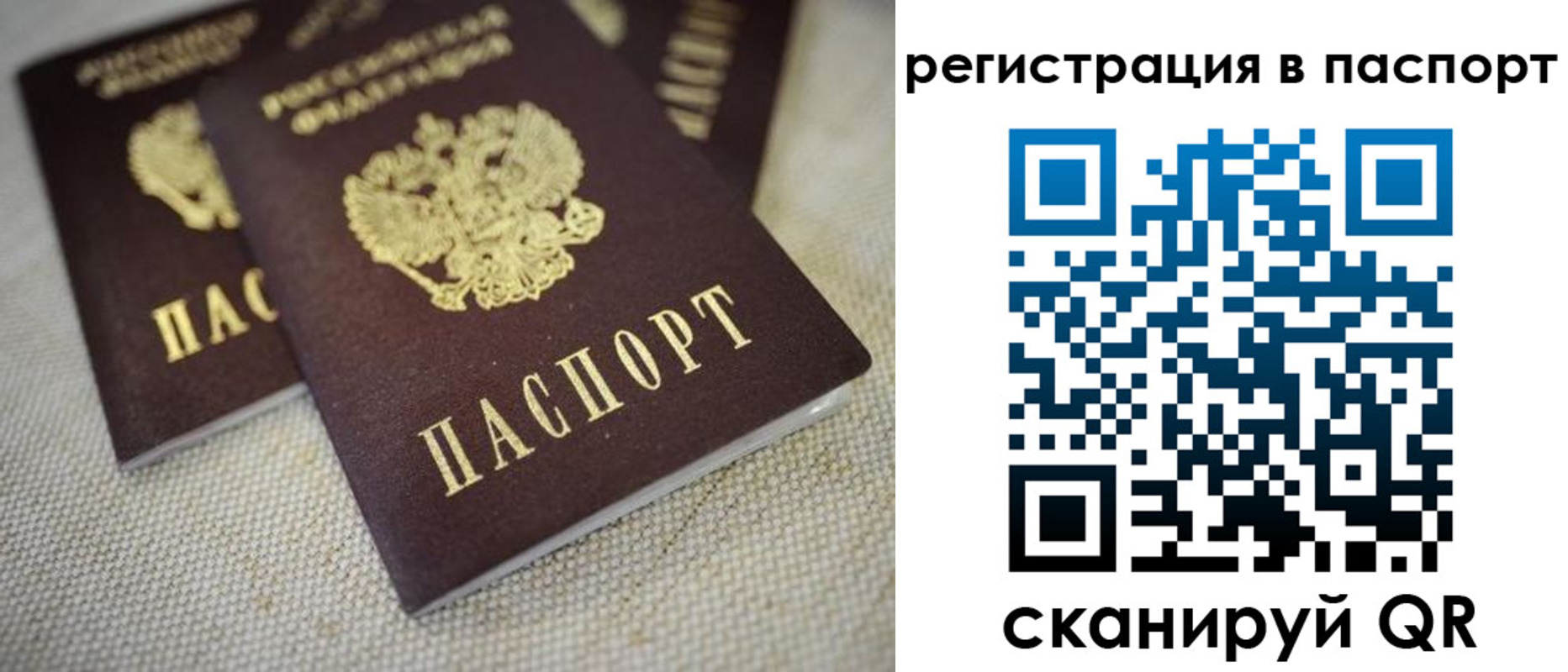 прописка гарантия в Озёрах